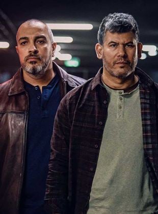 Comme deux frères saison 1
